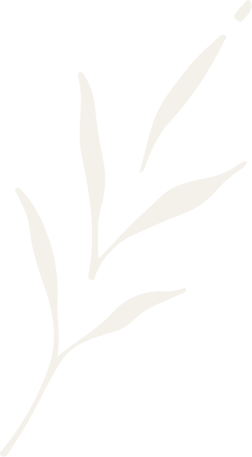 Cream Leaf Accent Image